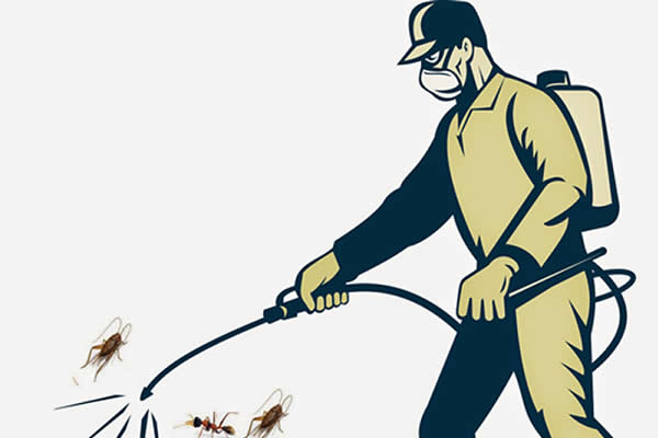 Dịch vụ diệt côn trùng tại TP Vinh nghệ An