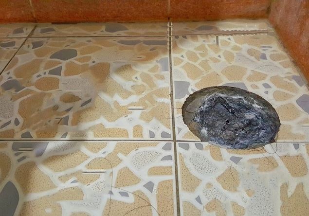 cách xử lý mùi hôi nhà vệ sinh